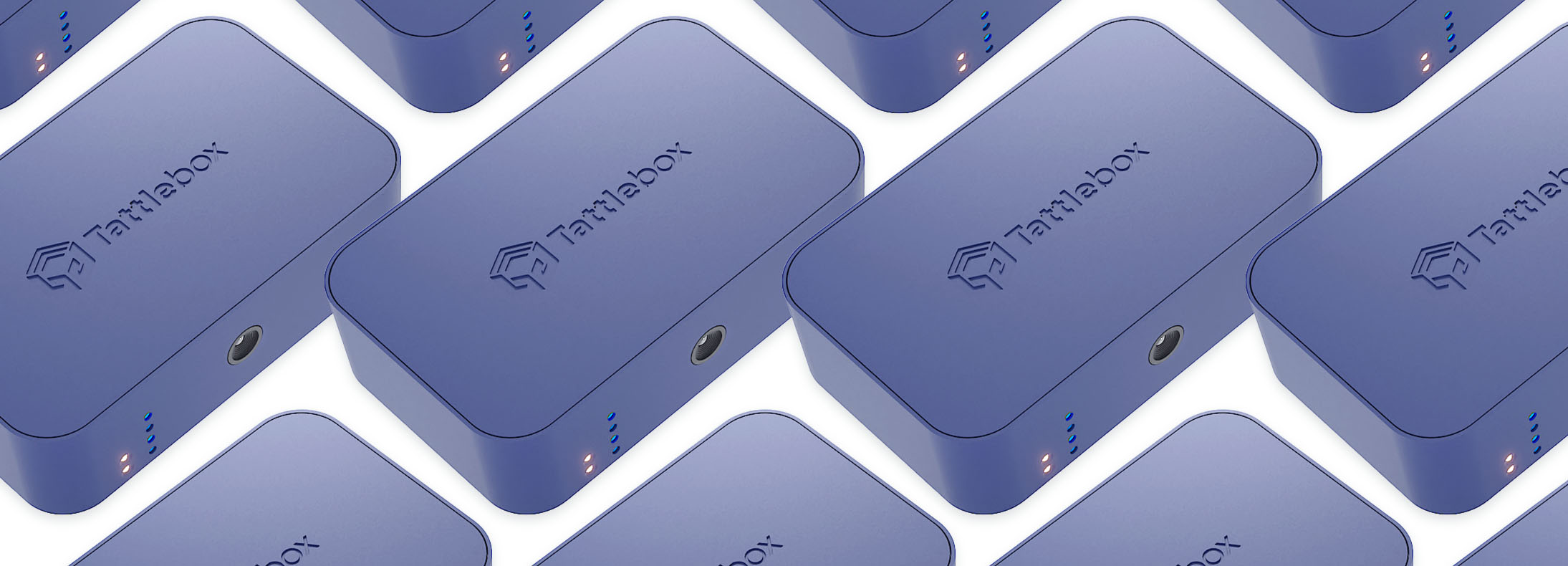 Tattlebox IoT security device