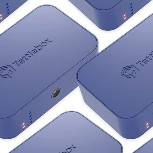 Tattlebox IoT security device